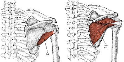 肩関節のインナーマッスルのストレッチ