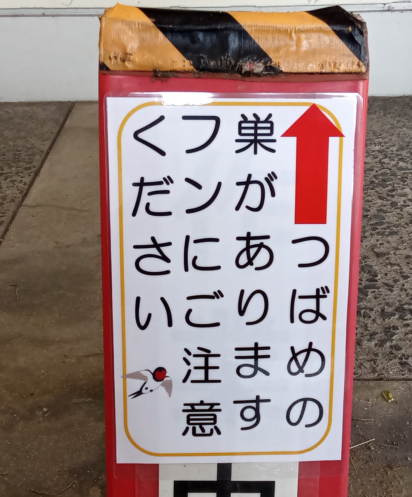 玉島の森つばめ